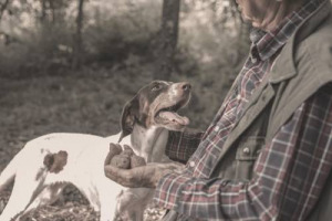 Fonte Ansa: sono 5.000 i “trifulau” piemontesi che, per protestare contro il blocco dei fondi per la conservazione del patrimonio tartufigeno regionale, minacciano di estirpare migliaia di piante arboree tartufigene