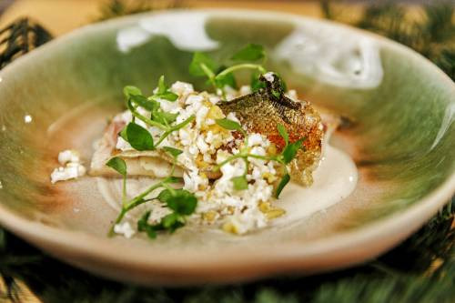 Ultimo piatto ispirato a Far Cry 5 è la Trota iridea, maionese al ginepro e cous cous di cavolfiore, Credits Rohd Studio