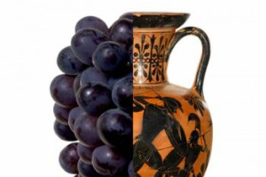 Dal pomodoro nero ai sensori anti-disidratazione della frutta, la scienza applicata al cibo è in mostra a “Tuscia Food Valley-Produzione e cultura del cibo tra passato, presente e futuro”, nuovo spazio espositivo permanente dell’Ateneo della Tuscia