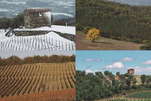 Il gotha del vino mondiale, dalla Borgogna al Barolo, al Brunello di Montalcino, ma non solo, riunito nella Val d&rsquo;Orcia patrimonio Unesco, per riflettere, in un &ldquo;simposio&rdquo; di alto livello, su terroir: le &ldquo;Giornate Giulio Gambelli&rdquo; di Podere Forte