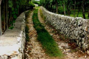 Trovare un accordo, quanto prima, per il bene di uno dei territori top del vino italiano, la Valpolicella, dopo le sentenze contrastanti in Italia e Ue: parlano Sabrina Tedeschi (Famiglie Storiche) e Andrea Sartori (Consorzio Valpolicella)