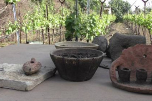 Quando il presente celebra il passato: a &ldquo;Bellofri&rdquo;, tra Alture del Golan e Lago di Tiberiade, in Israele, dove si producono olio, farina e vino come si faceva duemila anni fa, quando Ges&ugrave;, come raccontano i Vangeli, moltiplicava i pani e i pesci ...