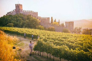 Quando le cantine si prendono cura della storia: la Cantina di Soave, realt&agrave; di riferimento del territorio veneto, lancia una limited edition di Soave Classico Rocca Sveva, per finanziare il restauro delle mura medioevali di Soave