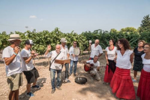 Perché non celebrare Ferragosto in una location d’eccezione? In agenda, “cene stellate sotto le stelle” e pranzi nei vigneti italiani. Per una gita fuoriporta, porte aperte nei giardini vitati più belli d’Italia. Tante le feste in tempo di vendemmia