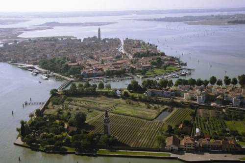 Il vigneto di Venissa di Bisol nell’isola di Mazzorbo a Venezia