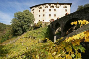 La viticoltura del futuro? Sar&agrave; sempre pi&ugrave; green, ma con l&rsquo;aiuto della genetica. A Naturae ET Purae, prologo del Merano Wine Festival (al via oggi), il difficile incontro tra due mondi, quello del bio e quello della scienza, ancora troppo distanti