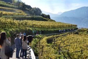 Viaggiare in Italia seguendo le rotte del vino &egrave; semplice. Ma per uscire dai &ldquo;grandi classici&rdquo;, a volte, serve una guida. Come quella di Cond&eacute; Nast Traveller, che ha stilato la sua classifica ai territori del vino da visitare del Belpaese ...