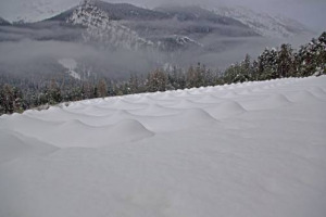 UN MARE DI NEVE CHE COPRE COMPLETAMENTE I FILARI, CHE DISEGNANO ONDE BIANCHE SULLA SUPERFICIE: LE ECCEZIONALI IMMAGINI DI &ldquo;VIGNETO 1350&rdquo;, LA VIGNA PI&Ugrave; ALTA D&rsquo;EUROPA, INVIATE A WINENEWS DA FABRIZIO ZARDINI, CHE CURA IL PROGETTO CON FRANCESCO ANACLERIO