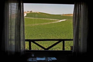 VENDEMMIA 2007: “PER I VINI SICILIANI VALUTAZIONE DI QUATTRO-CINQUE STELLE”. COSI’ L’ENOLOGO COTARELLA … IL PROFESSOR SCIENZA: “BIODIVERSITA’ NEL FUTURO”. IL SOCIOLOGO FABRIS: “LA SICILIA E’ TESTIMONIANZA DI COME SI RIESCA A CAMBIARE IMMAGINE”