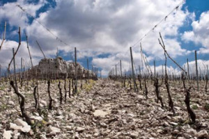 LA STORIA DELL&rsquo;UMANIT&Agrave; &Egrave; SCANDITA DA GUERRE E TRAGEDIE, ED IL VINO HA ACCOMPAGNATO LE CIVILT&Agrave; PI&Ugrave; DIVERSE SENZA ARRENDERSI MAI, DALLE VENDEMMIE ECCEZIONALI NELLA FRANCIA DELLA SECONDA GUERRA MONDIALE ALLA &ldquo;RESISTENZA&rdquo; DEI VIGNAIOLI SIRIANI