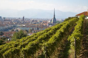 Il Vigneto reale dei Savoia a Villa della Regina dove nasce il &ldquo;vino di Torino&rdquo; e il Vigneto reale degli Asburgo del Castello di Sch&ouml;nbrunn che d&agrave; vita al &ldquo;vino di Vienna&rdquo; stringono uno storico gemellaggio a Villa della Regina (Torino, 24 settembre)