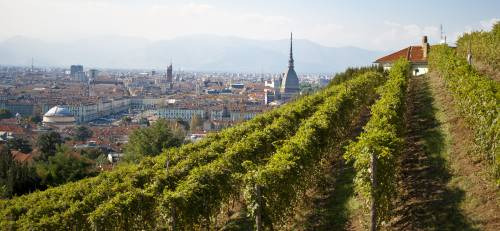 La Vigna della Regina Torino
