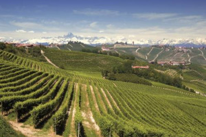 Alta Langa, il metodo classico d&rsquo;eccellenza del Piemonte, guarda al futuro: un &ldquo;Patto con la Terra&rdquo; (con l&rsquo;Universit&agrave; di Pollenzo), e la prima volta insieme delle 25 case spumantiere che valorizzano i 350 ettari (potenziali) della Docg