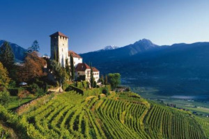 Appunti per un viaggio all&rsquo;insegna del nettare di Bacco: Vivino, l&rsquo;app per trovare, recensire e dare una dimensione social al piacere enoico, ha messo in fila le destinazioni dove bellezza, buon cibo e buon vino sono tutt&rsquo;uno. In Italia? L&rsquo;Alto Adige