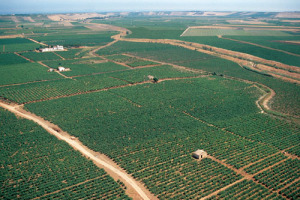 La Top 100 “Wine Enthusiast”, rivista cult a stelle e strisce, premia l’Italia del vino: sesto il Barolo Cannubi Boschis 2001 di Luciano Sandrone e bene tre Brunello di Montalcino (Cinelli Colombini, Pian delle Vigne Antinori, Castiglion del Bosco)