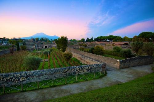 Vigneti a Pompei nella Villa dei Misteri by Mastroberardino