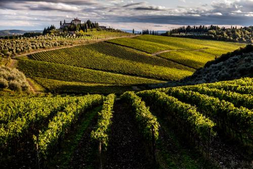 I vigneti di San Donato in Perano a Gaiole in Chianti acquistati dai Frescobaldi
