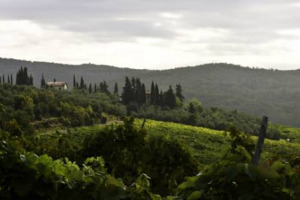 Antinori continua a crescere nel Chianti Classico: da rumors WineNews, vicino un altro affare importante con Alimenta (dopo San Sano nel 2015), con l&rsquo;acquisto della Tenuta di Capraia (45 ettari a vigna), nella &ldquo;Conca d&rsquo;Oro&rdquo; del Chianti Classico