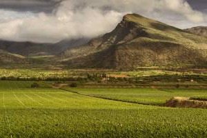 La Bolivia arriva prima dell&rsquo;Italia: il presidente Evo Morales firma la legge che riconosce il vino come patrimonio nazionale del Paese. Dall&rsquo;altra parte del mondo, in Ucraina, lo &ldquo;champagne sovietico&rdquo; cambia nome e si scopre &ldquo;decomunistizzato&rdquo;