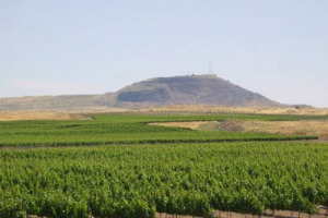 Israele, Turchia, Libano, Cina, Usa, Uk, Bolivia, ma anche Giappone, Georgia, Grecia e non solo: nuovi protagonisti del mercato internazionale sotto i riflettori a ProWein (Dusseldorf, 15-17 marzo), uno degli eventi top del vino mondiale