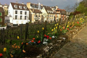 VILLA DELLA REGINA, A TORINO, &ldquo;CHIAMA&rdquo; MONTMARTRE A PARIGI, IN UN GEMELLAGGIO SULL&rsquo;ASSE ITALIA-FRANCIA, PER VALORIZZARE UNA DELLE TESTIMONIANZE PI&Ugrave; AFFASCINANTI DELLA VITICOLTURA, QUELLA DEI &ldquo;VIGNETI URBANI&rdquo;. TRA VINO, CULTURA E SOLIDARIET&Agrave;