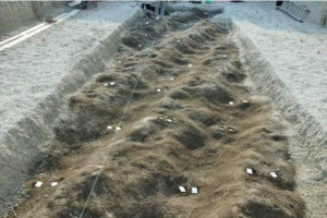 SE L&rsquo;IMPERO ROMANO VIVEVA DI AGRICOLTURA, IL VINO ERA UNO DEI PRODOTTI PIU&rsquo; PREZIOSI, E LO DIMOSTRA LA SCOPERTA DEL VIGNETO MEGLIO CONSERVATO DEL MONDO ANTICO, FUORI DALLE MURA DI POMPEI, VICINO ALLA VILLA DEL RICCO LIBERTO TRIMALCIONE