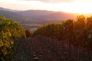 &ldquo;AFFAIRE BRUNELLO&rdquo;: PAZZAGLIA, L&rsquo;UNICO CHE AFFRONTA IL PROCESSO, &Egrave; STATO ASSOLTO &ldquo;IL FATTO NON SUSSISTE&rdquo;. L&rsquo;EX AD TENUTA DI ARGIANO: &ldquo;ERO CERTO DI AVERE UNA POSIZIONE PULITA E VOLEVO CHE UN GIUDICE LO SCRIVESSE NERO SU BIANCO&rdquo; (FONTE: MONTALCINONEWS)