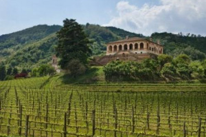 APRE LE PORTE DI GIOIELLI NASCOSTI, ESORTA A SEGNALARE QUELLI DEL CUORE E ORA INVITA ANCHE A PROVARE L&rsquo;ESPERIENZA DELLA VENDEMMIA COME UNA VOLTA IN UNO DEI SUOI &ldquo;BENI&rdquo;: &Egrave; IL FAI CHE IL 9 SETTEMBRE ATTENDE GRANDI E BAMBINI A VILLA DEI VESCOVI (PADOVA)