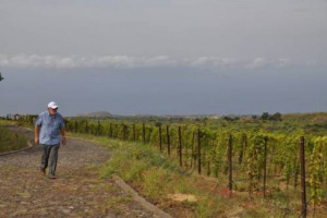 Piantare una vigna a Capoverde per finanziare una missione: lo ha fatto Padre Ottavio Fasano, frate cappuccino langarolo del Convento di Racconigi (Cuneo) per sostenere con la produzione di 50.000 bottiglie l&rsquo;anno un Ospedale e le sue attivit&agrave; a Fogo