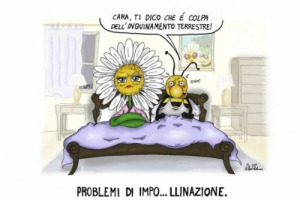 FEDERICO ALESSANDRO, SEGUITO DA GIORGIO DE MARINIS E SIMONE TOSI: ECCO I NOMI DEI GIOVANI VIGNETTISTI CHE HANNO VINTO IL CONCORSO “LE API PER UN’AGRICOLTURA DUREVOLE” DI UNAAPI, CONAPI E AAPI E PATROCINATO DA SLOW FOOD ITALIA E GREEN PEACE FEDERICO ALESSANDRO, SEGUITO DA GIORGIO DE MARINIS E SIMONE TOSI: ECCO I NOMI DEI GIOVANI VIGNETTISTI CHE HANNO VINTO IL CONCORSO “LE API PER UN’AGRICOLTURA DUREVOLE” DI UNAAPI, CONAPI E AAPI E PATROCINATO DA SLOW FOOD ITALIA E GREEN PEACE