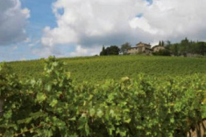 Dai monaci benedettini, nel 1400, alla Curia di Trento, nel 2016 (attraverso la sua finanziaria Isa - Istituto Atesino di Sviluppo): &egrave; il curioso percorso di Villa Cafaggio, realt&agrave; storica del Chianti Classico, nella &ldquo;Conca d&rsquo;Oro&rdquo;, a Greve in Chianti