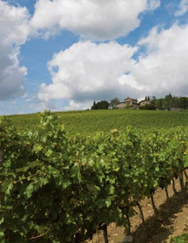 Dai monaci benedettini nel 1400 alla Curia di Trento attraverso la sua finanziaria Isa, il curioso percorso di Villa Cafaggio