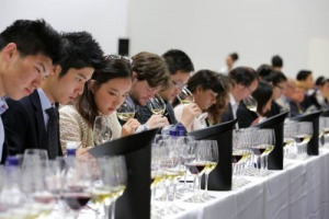 Debuts, verticals, novelties & Grand Tours: Vinitaly in the glass