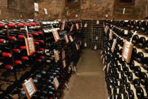 IN BORGOGNA IL WELFARE SI FA ... COL VINO: FRAN&Ccedil;OIS REBSAMEN, SINDACO DI DIJON, CAPOLUOGO DELLA PATRIA DEL PINOT NERO, HA MESSO ALL&rsquo;ASTA MET&Agrave; DELLA CANTINA DI VINI PREGIATI DEL MUNICIPIO. E I 151.000 EURO INCASSATI ANDRANNO AD AIUTARE I PI&Ugrave; DEBOLI