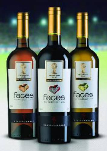 Ecco i vini dei Mondiali 2014