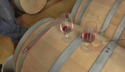 Una delle barriques sonore di a Viñas Inéditas, in Cile