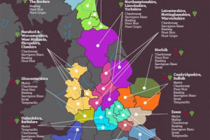 L&rsquo;Inghilterra terra di grandi vini, come la Francia, dal Pinot Grigio al Merlot, dal Sauvignon Blanc allo Chardonnay. Non &egrave; un sogno, ma la realt&agrave;. O almeno, quella del 2100, come rivela uno studio dei ricercatori dello University College di Londra