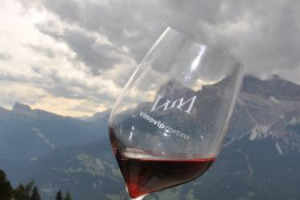 Il celeberrimo Wine Tasting delle Aquile con le &ldquo;vette&rdquo; d&rsquo;eccellenza dell&rsquo;enologia italiana ma anche &ldquo;Giovani Sognatori e Piccole Patrie&rdquo; del vino, masterclass e una Notte delle Stelle nei 20 anni di VinoVip by Civilt&agrave; del Bere (Cortina, 9-10 luglio)