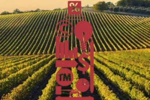 Da nicchia per cultori a bene rifugio tout court: la parabola del vino come investimento redditizio &egrave; in netta ascesa, e l&rsquo;Italia cresce anche da questo punto di vista, dai vigneti ai benchmark del mercato secondario, passando per le acquisizioni