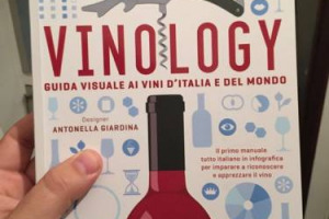 Un punto di sintesi nel mondo delle pubblicazioni enoiche, capace di interessare sia l&rsquo;esperto che il neofita: ecco &ldquo;Vinology. La guida visuale ai vini d&rsquo;Italia e del mondo&rdquo;, il primo libro di Alessandro Torcoli, direttore di &ldquo;Civilt&agrave; del Bere&rdquo;