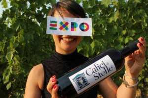 &ldquo;Calici di Stelle&rdquo; raddoppia e, oltre agli appuntamenti tra i filari, che accoglieranno 1 milione di eno-appassionati, di scena dal 4 al 10 agosto, per la serata di San Lorenzo, porter&agrave; all&rsquo;Expo di Milano l&rsquo;incontro tra vino e canzoni d&rsquo;autore