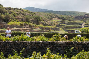 Pantelleria riparte dalla sua vite ad alberello Patrimonio Unesco, per dare valore aggiunto a tutte le produzione dell&rsquo;isola, a partire dal vino ma non solo, e scongiurare l&rsquo;abbandono delle nuove generazione. Il messaggio di Passitaly