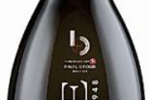 Continua l&rsquo;assenza del tricolore dall&rsquo;appuntamento pi&ugrave; importante della pallacanestro europea ma qualcosa di italiano festegger&agrave; comunque la squadra che vincer&agrave; l&rsquo;Eurolega: il brindisi si far&agrave; con il Prosecco Ponte