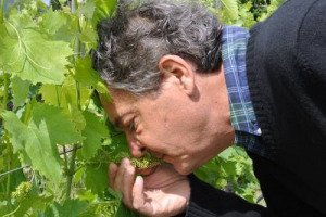 Lutto nel mondo enoico, addio a Vittorio Contini Bonacossi, una vita dedicata al Carmignano nell&rsquo;antica Tenuta di Capezzana, la cantina di famiglia in Toscana. Tra i vignaioli pi&ugrave; legati alla sua terra, era presidente del Biodistretto del Montalbano