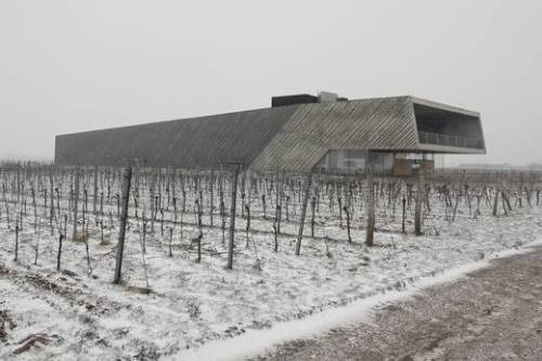 Weingut Preisinger Burgenland in Austria