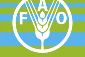 GIORNATA MONDIALE DELL’ALIMENTAZIONE: IN UN MONDO IN CUI 870 MILIONI DI PERSONE SONO DENUTRITE E 1,3 MILIARDI DI TONNELLATE CIBO FINISCE OGNI ANNO NELLA SPAZZATURA, L’OBIETTIVO DELLA FAO DI DIMEZZARE GLI AFFAMATI PASSA PER LA LOTTA ALLO SPRECO