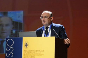 Coltivare il mercato italiano, di gran lunga il n. 1 (l&rsquo;80% del fatturato complessivo di 90 milioni di euro), ed investire sull&rsquo;export, soprattutto in Usa: il futuro dell&rsquo;Istituto Trentodoc, che ha confermato Enrico Zanoni alla presidenza