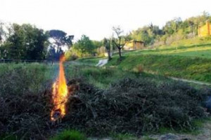 Cambia la legge sugli scarti delle lavorazioni agricole: “non sono rifiuti, pertanto si possono bruciare e non c’è bisogno di autorizzazioni e di ordinanze dei Comuni”