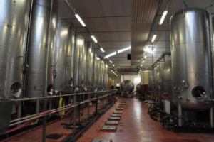 IN ITALIA SEMPRE MENO CANTINE, MA PI&Ugrave; GRANDI: IN 10 ANNI DA 791.000 A 383.000 IMPRESE (-52%), MA LA SUPERFICIE AZIENDALE MEDIA &Egrave; CRESCIUTA DELL&rsquo;82%. LO SOTTOLINEA FEDAGRI-CONFCOOPERATIVE SUI DATI DEL CENSIMENTO DELL&rsquo;AGRICOLTURA ISTAT