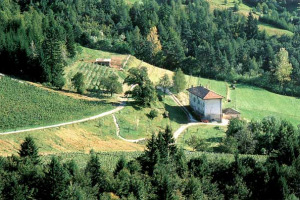 LA &#8220;SCUOLA DEL VINO&#8221; D&#8217;ITALIA PER ECCELLENZA: L&#8217;ISTITUTO AGRARIO DI SAN MICHELE ALL&#8217;ADIGE